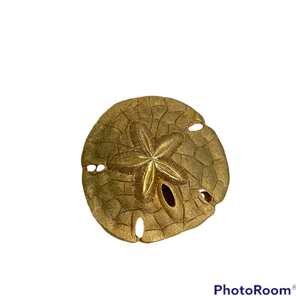 Vintage sand dollar brooch - Picture 1 of 5